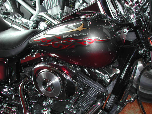 BikeWeek0153