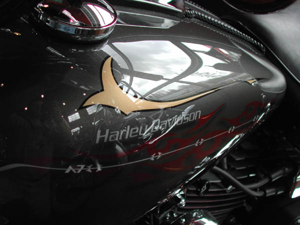 BikeWeek0155