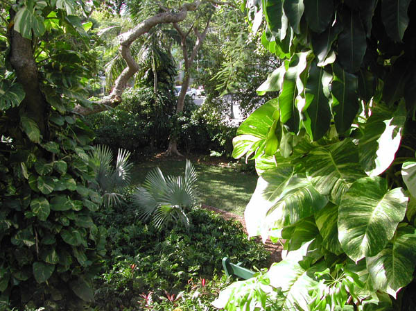 DSCN0368