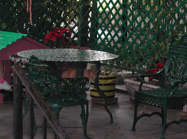 DSCN0371