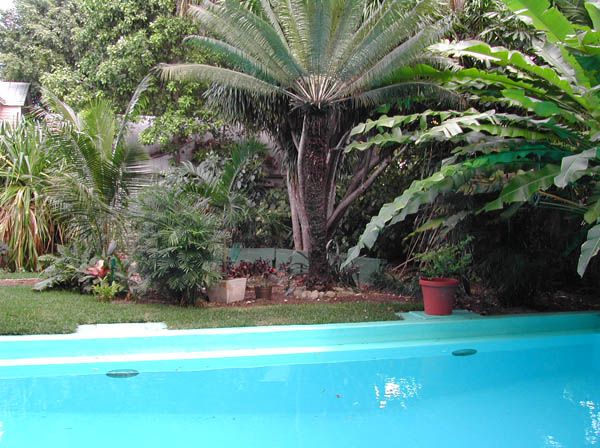 DSCN0377