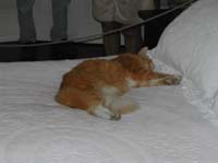 DSCN0363