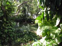 DSCN0368