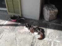 DSCN0373
