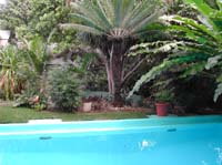 DSCN0377